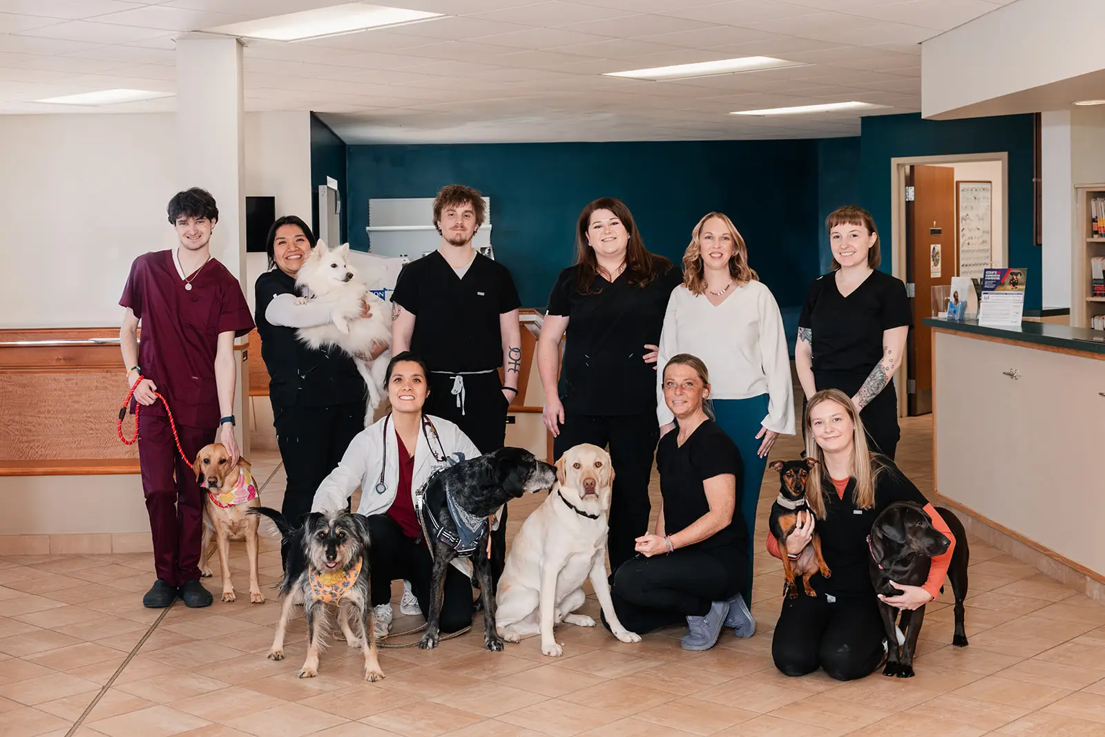 Buckeystown Veterinary Hospital staff pose with pets in the practice lobby in Buckeystown, MD.